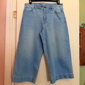 a.n.a 16 petite High Rise, wide leg crop jeans